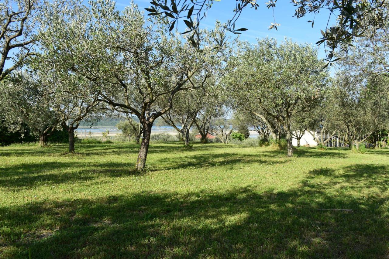 Apartment Pergola Portorož Zewnętrze zdjęcie