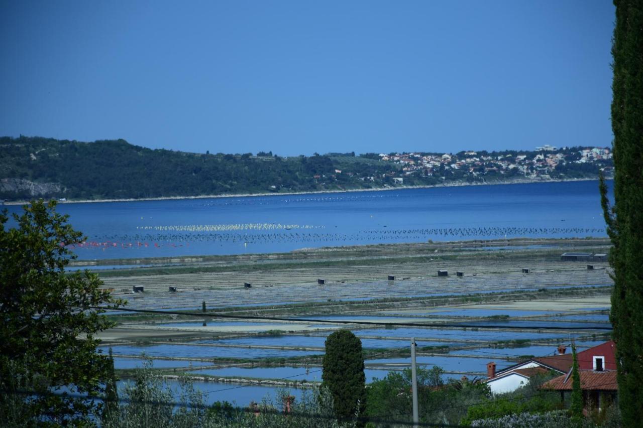 Apartment Pergola Portorož Zewnętrze zdjęcie
